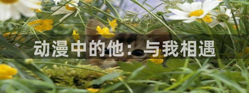 日漫里番