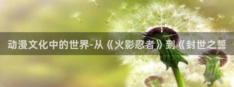 里番动漫是什么