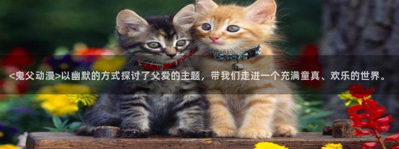 里番动漫大佬