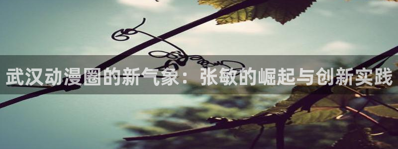 里番在线漫画：武汉动漫圈的新气象：张敏的崛起与创新实践