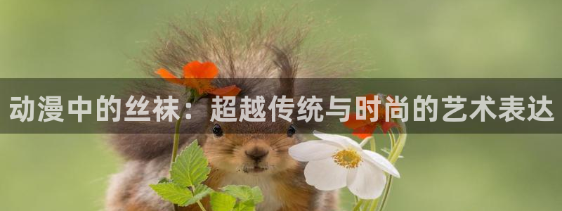 里番动漫艳母：动漫中的丝袜：超越传统与时尚的艺术表达