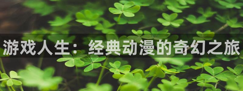 纯爱里番动漫：游戏人生：经典动漫的奇幻之旅