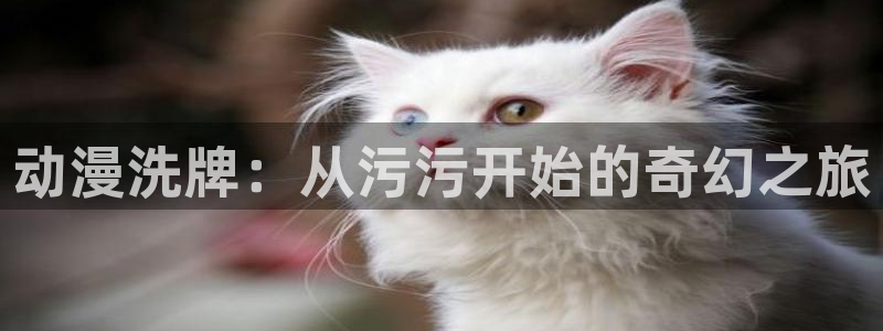 旧里番漫画：动漫洗牌：从污污开始的奇幻之旅