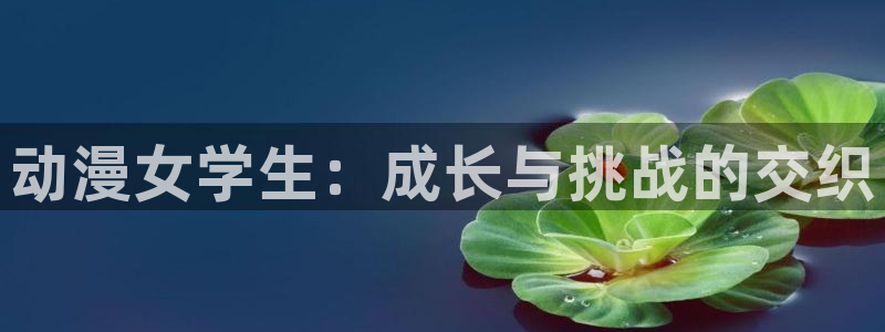 里番剧：动漫女学生：成长与挑战的交织