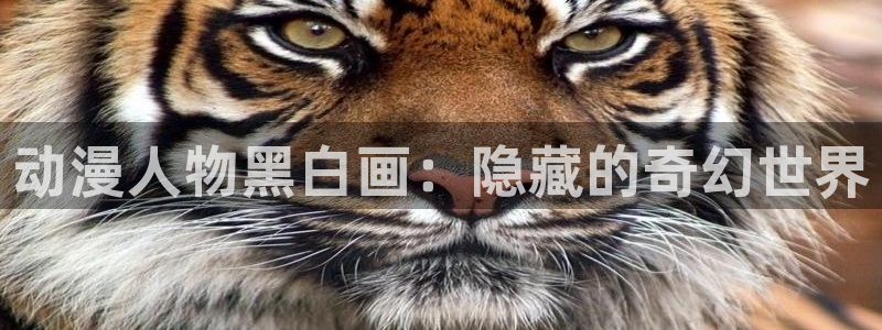 动漫里番网在线观看：动漫人物黑白画：隐藏的奇幻世界