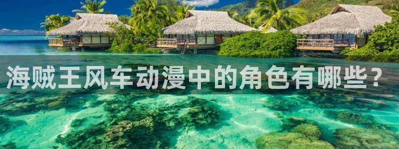 里番日本漫画：海贼王风车动漫中的角色有哪些？