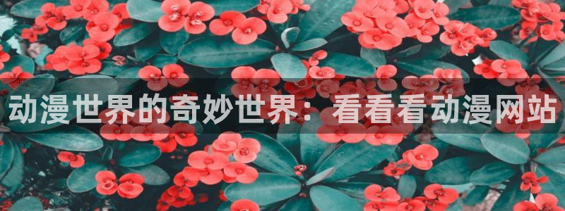 漫画里番本子库：动漫世界的奇妙世界：看看看动漫网站