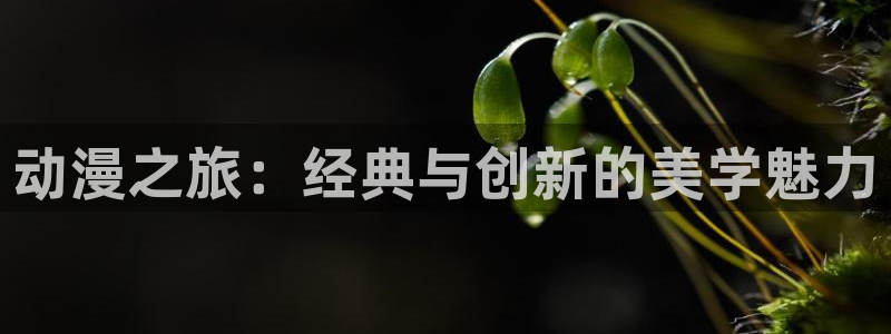 里番网漫画：动漫之旅：经典与创新的美学魅力