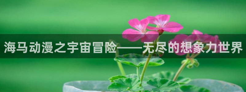 肉里番动漫：海马动漫之宇宙冒险——无尽的想象力世界