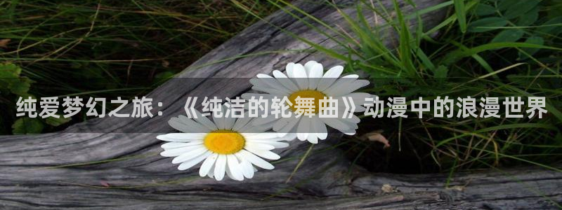 肉里番动漫：纯爱梦幻之旅：《纯洁的轮舞曲》动漫中的浪漫世界