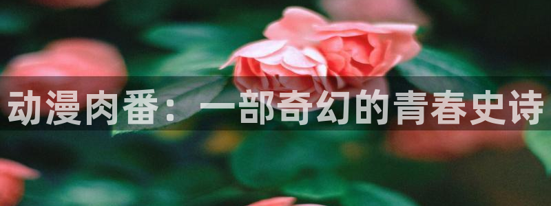 里番动漫123：动漫肉番：一部奇幻的青春史诗