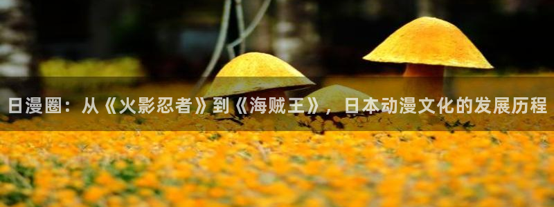 里番动漫樱花：日漫圈：从《火影忍者》到《海贼王》，日本动漫文化的发展历程