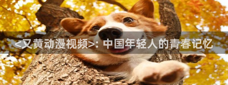 旧里番动漫：<又黄动漫视频>: 中国年轻人的青春记忆