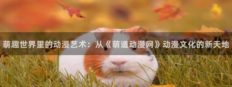 韩国里番动漫：萌趣世界里的动漫艺术：从《萌道动漫网》动漫文化的新天地