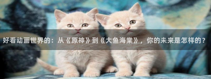 里番动漫在线：好看动画世界的：从《原神》到《大鱼海棠》，你的未来是怎样的？