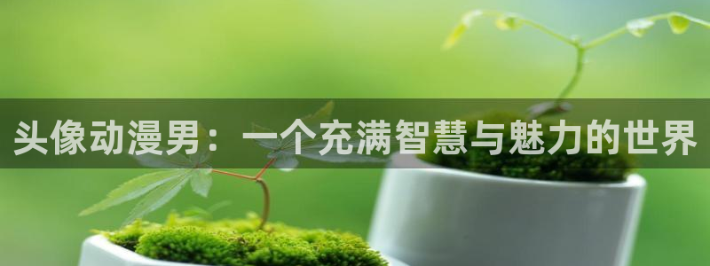 里番动漫在线免费看：头像动漫男：一个充满智慧与魅力的世界