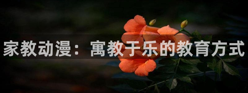 看里番的动漫网站：家教动漫：寓教于乐的教育方式
