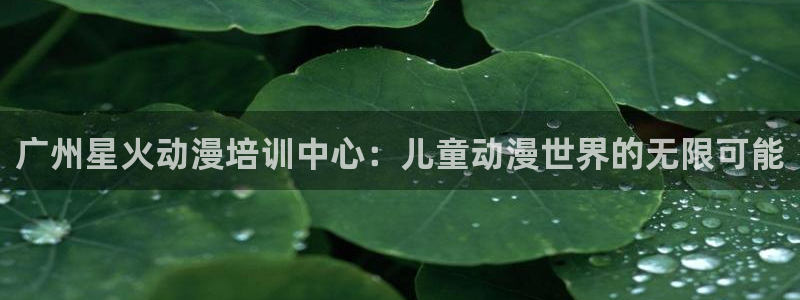 男男里番动漫：广州星火动漫培训中心：儿童动漫世界的无限可能