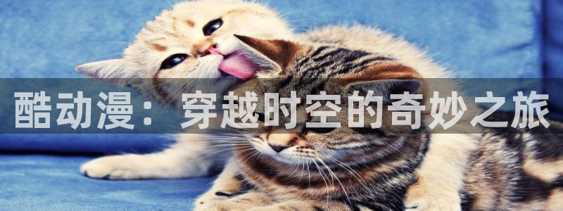 动漫里番剧：酷动漫：穿越时空的奇妙之旅