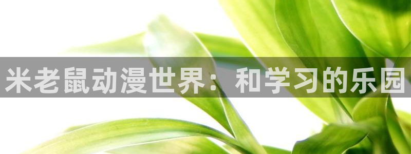 里番动漫网：米老鼠动漫世界：和学习的乐园
