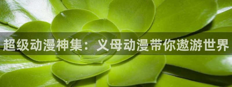 里番动漫app免费：超级动漫神集：义母动漫带你遨游世界