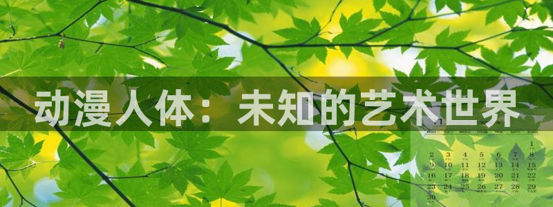 里番动漫大全：动漫人体：未知的艺术世界