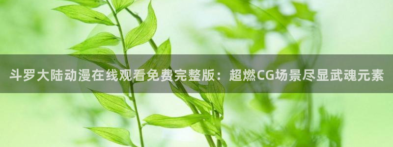 3d里番动漫大全：斗罗大陆动漫在线观看免费完整版：超燃CG场景尽显武魂元素