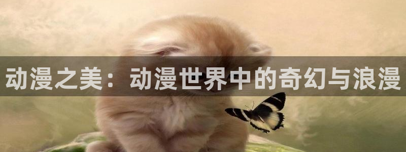 成人动漫里番在线观看