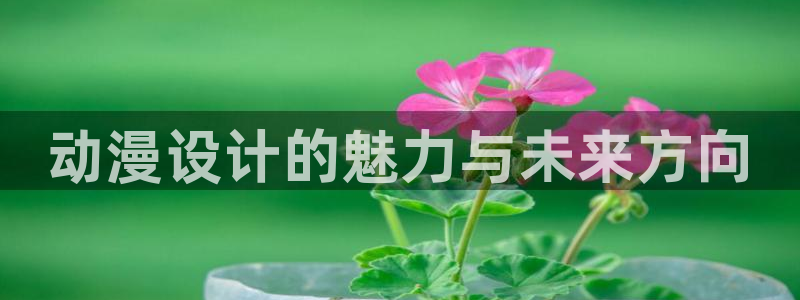 里番动漫视频：动漫设计的魅力与未来方向