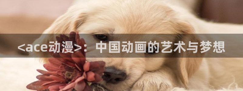 看里番动漫的软件：<ace动漫>：中国动画的艺术与梦想