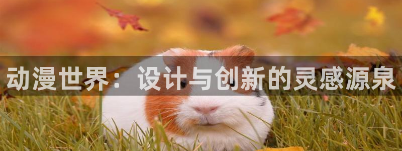 里番动漫排行榜前十名：动漫世界：设计与创新的灵感源泉